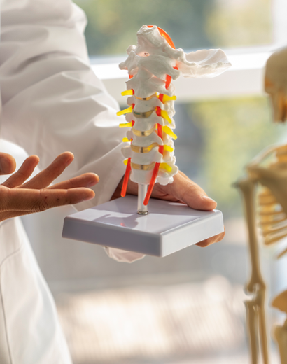 human-body-running-motion-medical-education-anatomy-concept 1 (5)